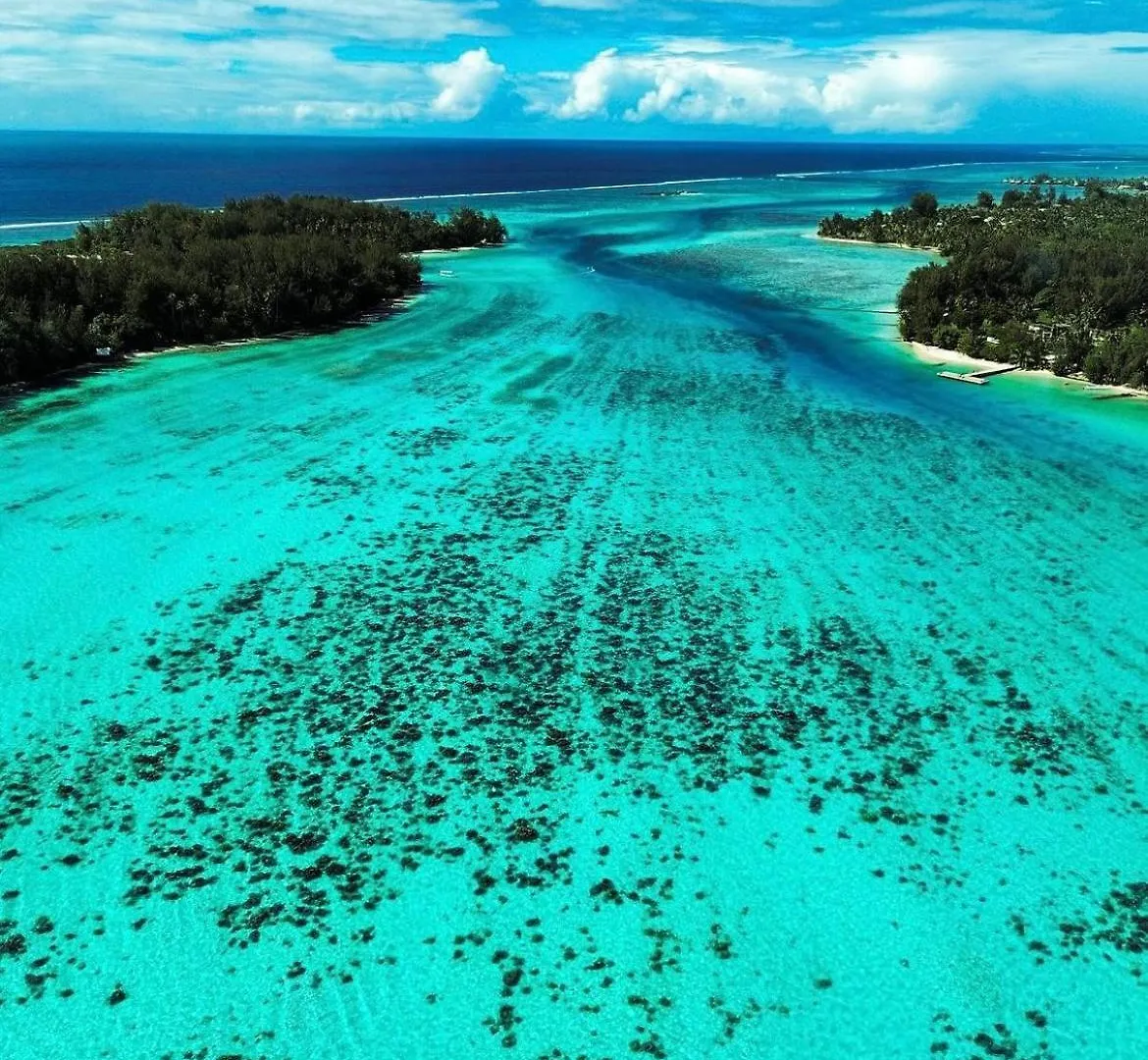 Fare One Island Moorea Haapiti 0*,  Frans-Polynesië