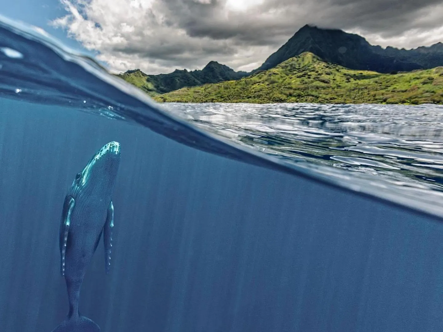 Fare One Island Moorea Haapiti French Polynesia